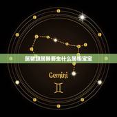 属猪跟属猴要生什么属相宝宝，属猴与属猪生什么属相的孩子好？