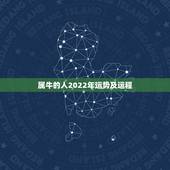 属牛的人2022年运势及运程 88年属龙34岁2022运势