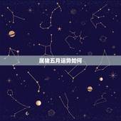 属猪五月运势如何，今年21.属猪5月初5的生日5，运势怎么样