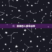 属猪的人猪年运势，2011年属猪的运程