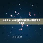 生肖虎女2022年运势及运程 莫小棋预言属虎的婚姻