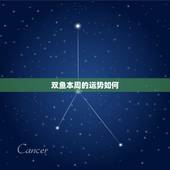 双鱼本周的运势如何，双鱼座这周的运势