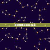 属鼠猴年运势2022年，属鼠的人在2023鼠年运势如何