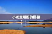 小龙宜婚配的属相，生肖中的”小龙“：男女都属蛇相配吗