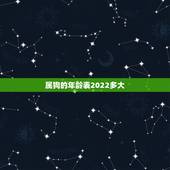 属狗的年龄表2022多大，属牛的年龄表2022 多大