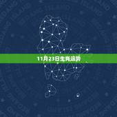 11月23日生肖运势，2022年11月23日运程