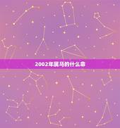 2002年属马的什么命，2004属猴年五行什么命