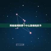 狗爸爸妈妈要个什么属相的孩子，父亲属狗，母亲属牛，孩子什么属相好
