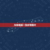 与你相遇一生珍惜图片，与你一见如故，是我今生最美丽的相遇；与你一诺相许