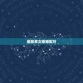 属猴男女婚姻配对，2022 年28岁属相婚配