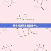 属猪更佳婚配属相是什么，1975年属猪的更佳配偶