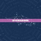 属牛的男的属相婚配，属牛男和什么属相婚配克夫