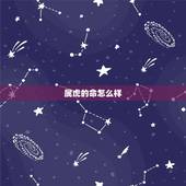 属虎的命怎么样，属鼠的命怎么样