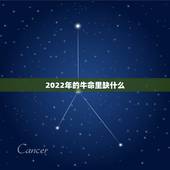 2022年的牛命里缺什么，85年属牛未来10年运势
