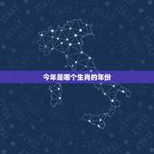 今年是哪个生肖的年份，2022 生肖表