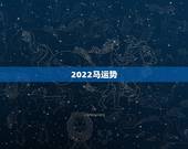 2022马运势，2022 年生肖马女运势