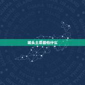 城头土命最怕什么，城头土命怕水吗