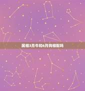 属相3月牛和6月狗相配吗，属相牛和狗婚配如何