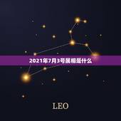 2021年7月3号属相是什么，2021年7月3日02时15分生的男孩生