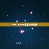 2022年65年出生蛇男运程，1965年属蛇人2022年运势