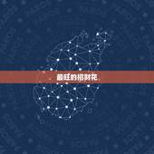 最旺的招财花，家里养什么花招财好？