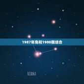 1987年兔和1980猴结合，1980男猴1987女兔