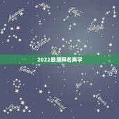 2022最潮网名两字，2021最火的网名女两字