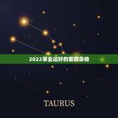 2022事业运好的紫微命格，2022年紫微化权