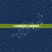 72年属鼠养什么植物旺财，属鼠女适合养什么花