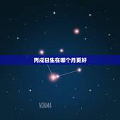丙戌日生在哪个月更好，丙戌日生于丁巳年