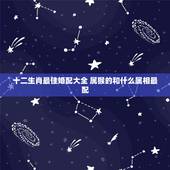 十二生肖最佳婚配大全 属猴的和什么属相最配