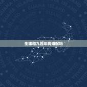生猪和九四年狗婚配吗，94年女狗和95年男猪相配怎么样