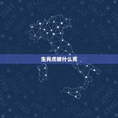 生肖虎被什么克，属虎和什么属相相冲
