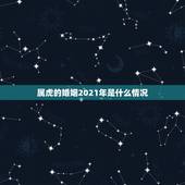 属虎的婚姻2021年是什么情况，属虎的为什么2021年不能结婚