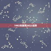1982年属狗2022运势，1982年属狗运势