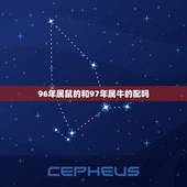 96年属鼠的和97年属牛的配吗，96属鼠的男生和97属牛的女生在一起，