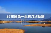 87年属兔一生有几次劫难，1987年兔33岁后财运