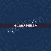 十二生肖大小属相之分，十二生肖大霄属相表