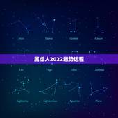 属虎人2022运势运程，属虎的本命年2022运势如何86年的虎，本命年