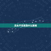 见头不见尾是什么属相，年份的最后一个属相是猪年吗？