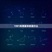1991年男属羊的是什么，91年属羊女和什么最配