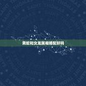 男蛇和女龙属相婚配好吗，属相婚配：男属蛇和女属鼠相配吗