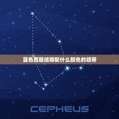 蓝色西服结婚配什么颜色的领带，怎么搭配西装颜色和领带颜色？