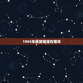 1995年属猪姻缘在哪年，1995年属猪的更佳配偶