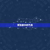男生眼中的气质，男人的十大气质类型