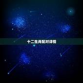 十二生肖配对详情，十二生肖配对指数表