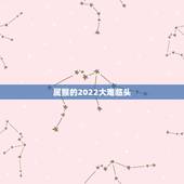 属猴的2022大难临头，大难临头是什么意思