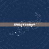 属兔男分手后会复合吗，属兔男和属兔女会分手吗