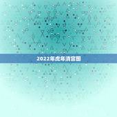 2022年虎年清宫图，2022年虎年是什么命