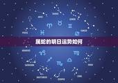 属蛇的明日运势如何，属蛇人今日财运如何？